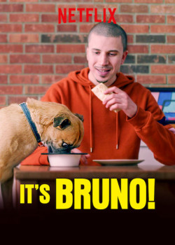 Chú chó Bruno