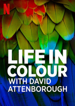 David Attenborough: Sự sống đầy màu sắc
