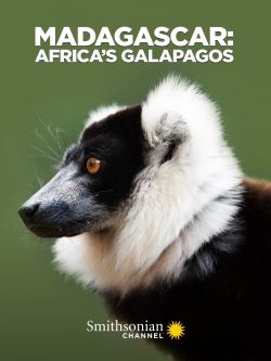 Madagascar: Africa’s Galapagos
